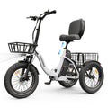 Adult 3 Wheel Electric Tricycle, 18×3.0 Fat Tires, 48V 15AH battery 700W Peak Motor Up to 60 Miles Range, 18 MPH Adjustable Backrest Electric Bikes